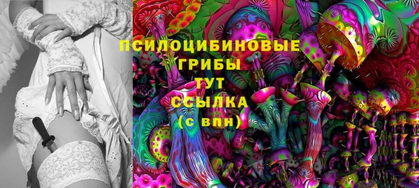 каннабис Аркадак