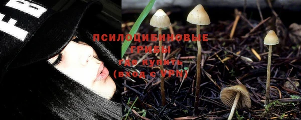 винт Арсеньев