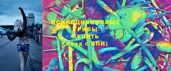 винт Арсеньев